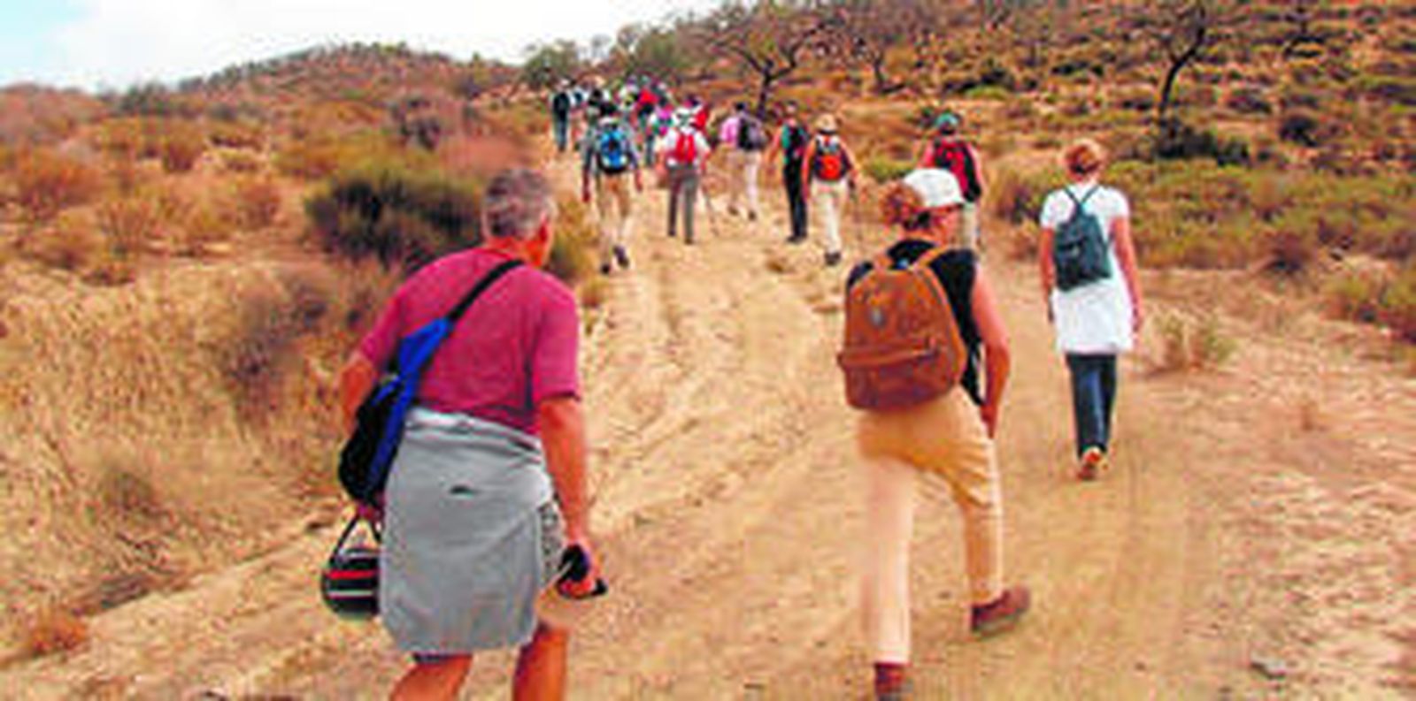 Una de las actividades desarrolladas por la Diputación Provincial el pasado año.