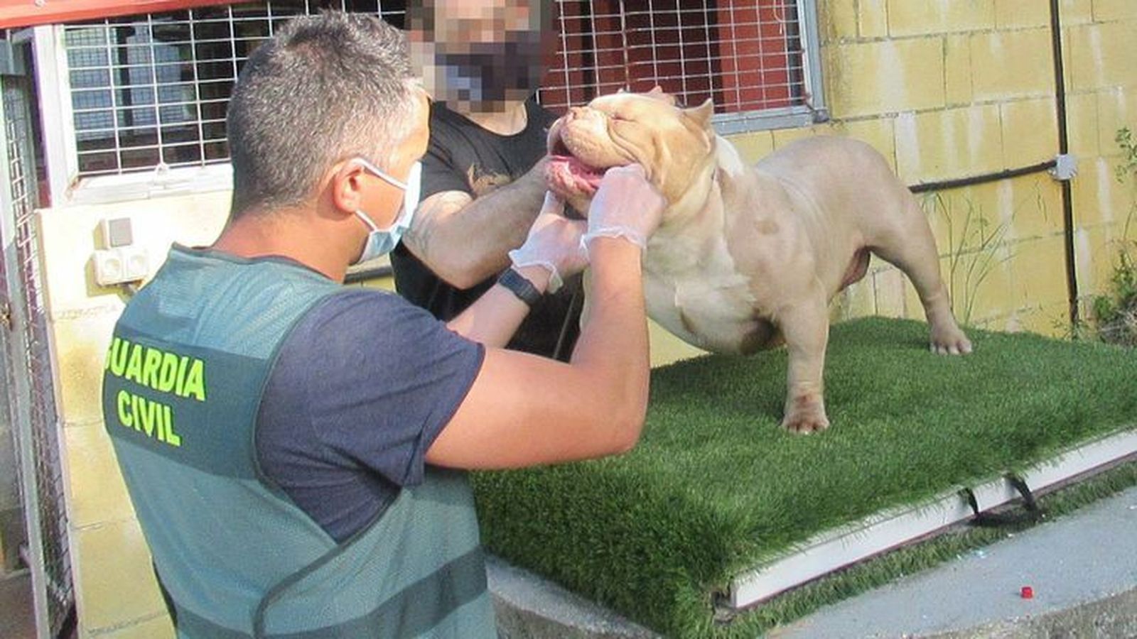 Denuncian en La Coruña al dueño de un perro que mordió a un bebé