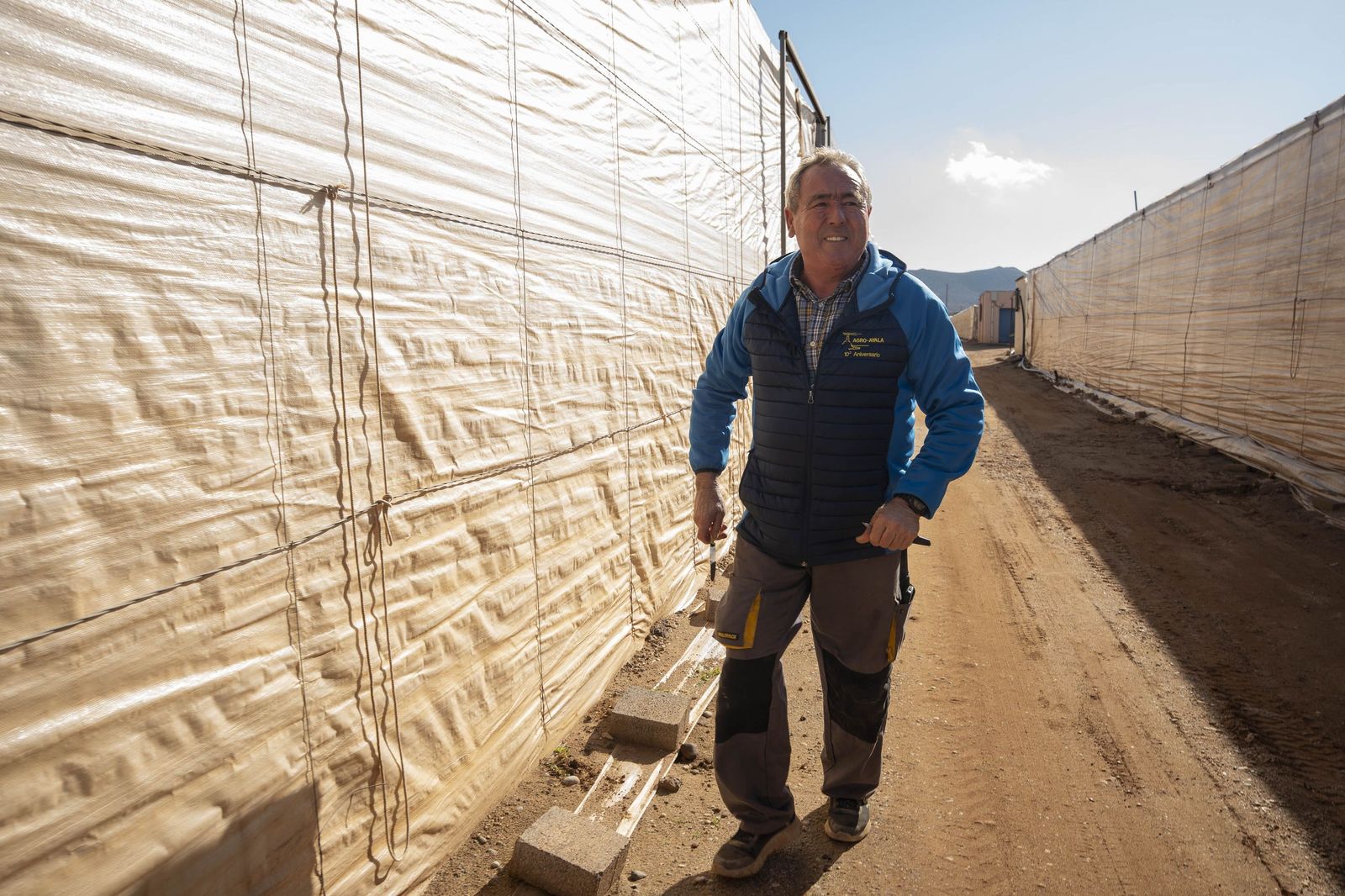 La primavera se planta en invierno entre sandías y tomates almerienses
