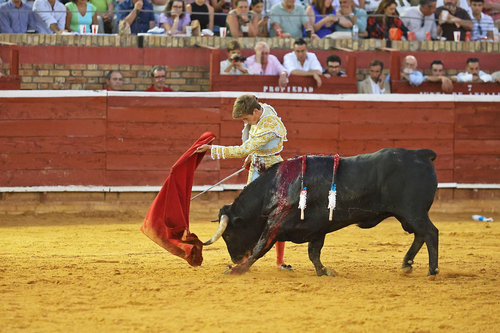 Toros La Merced 2024 Novillada con picadores(