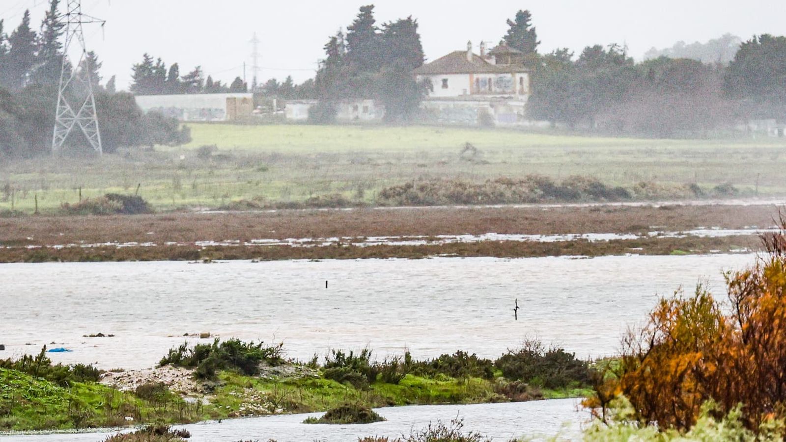 Imágenes de los principales destrozos provocados por la borrasca Leonardo en Cádiz