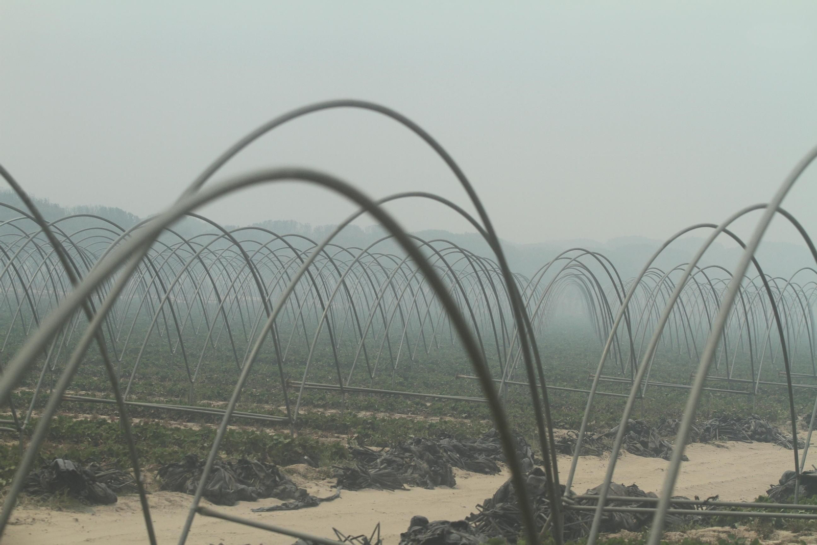 Las imágenes del incendio en Moguer y Mazagón