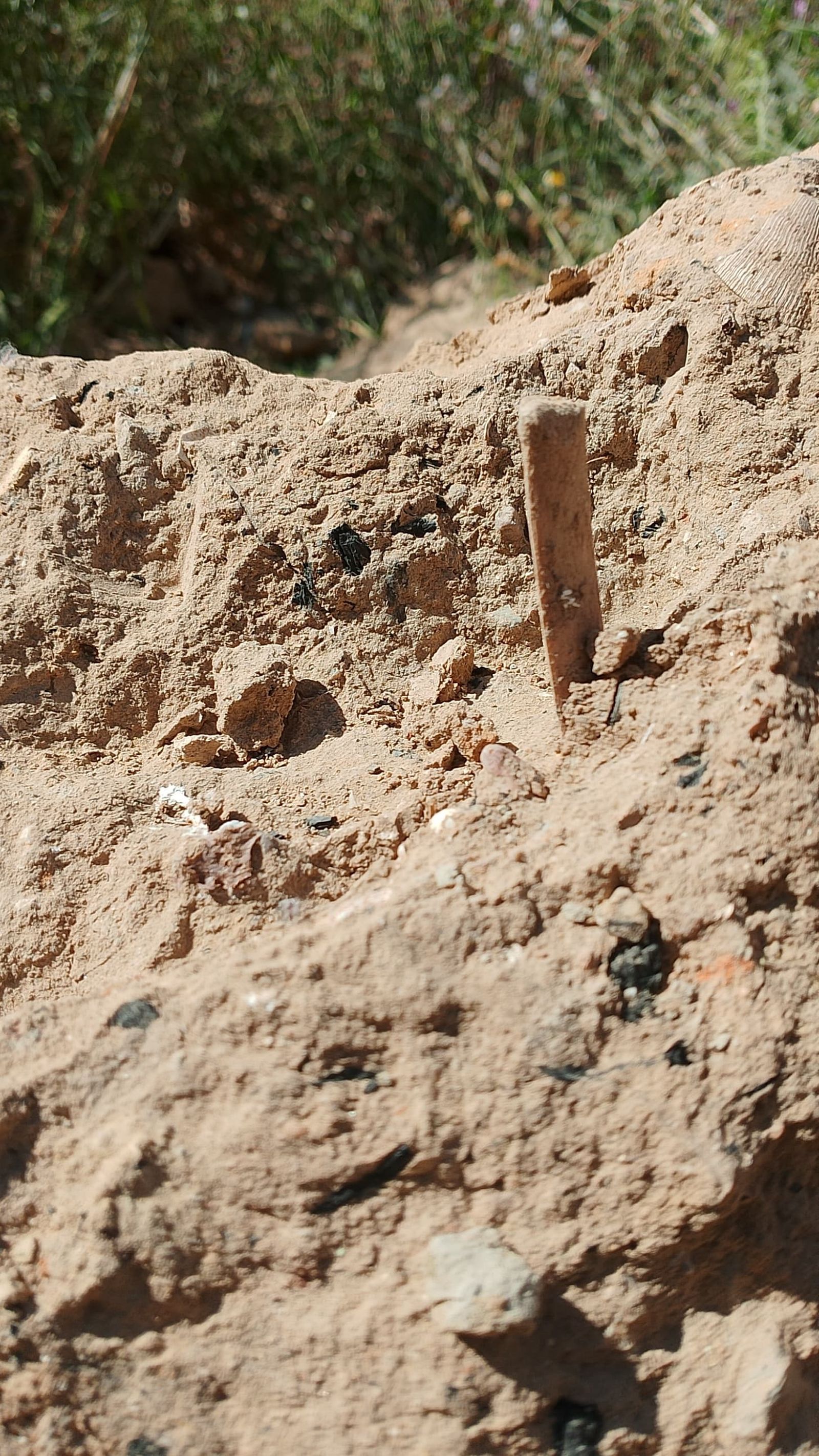 Restos arqueológicos aparecidos en el cabezo de San Pedro de Huelva.