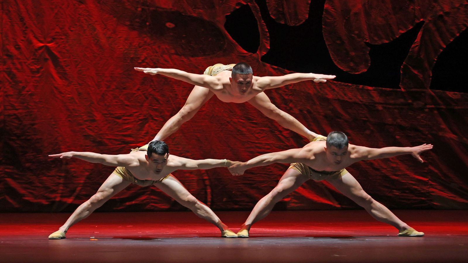 Imágenes del 'Gran Circo Acrobático de China' en el Teatro Villamarta