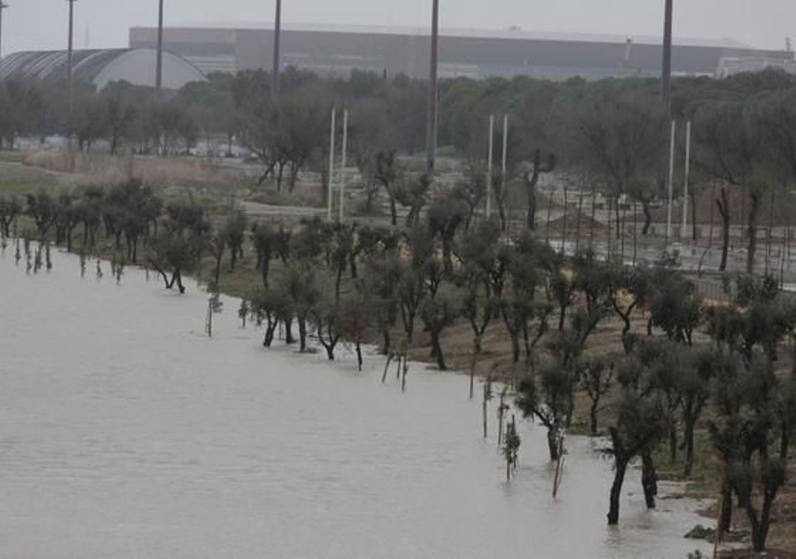 Foto: Victoria Hidalgo/Juan Carlos Muñoz