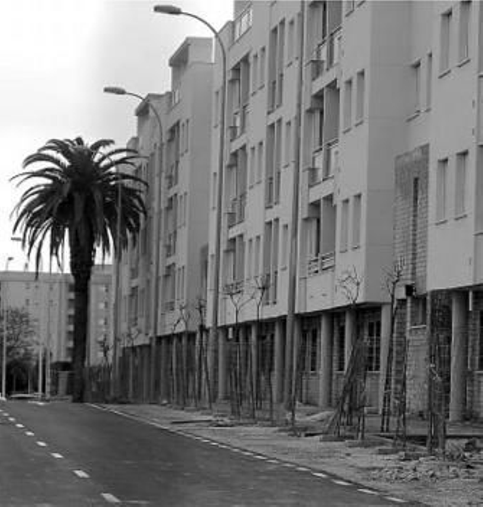 Imagen de la promoción del edificio Roma, aún en construcción. Imagen de la promoción del edificio Roma, aún en construcción.