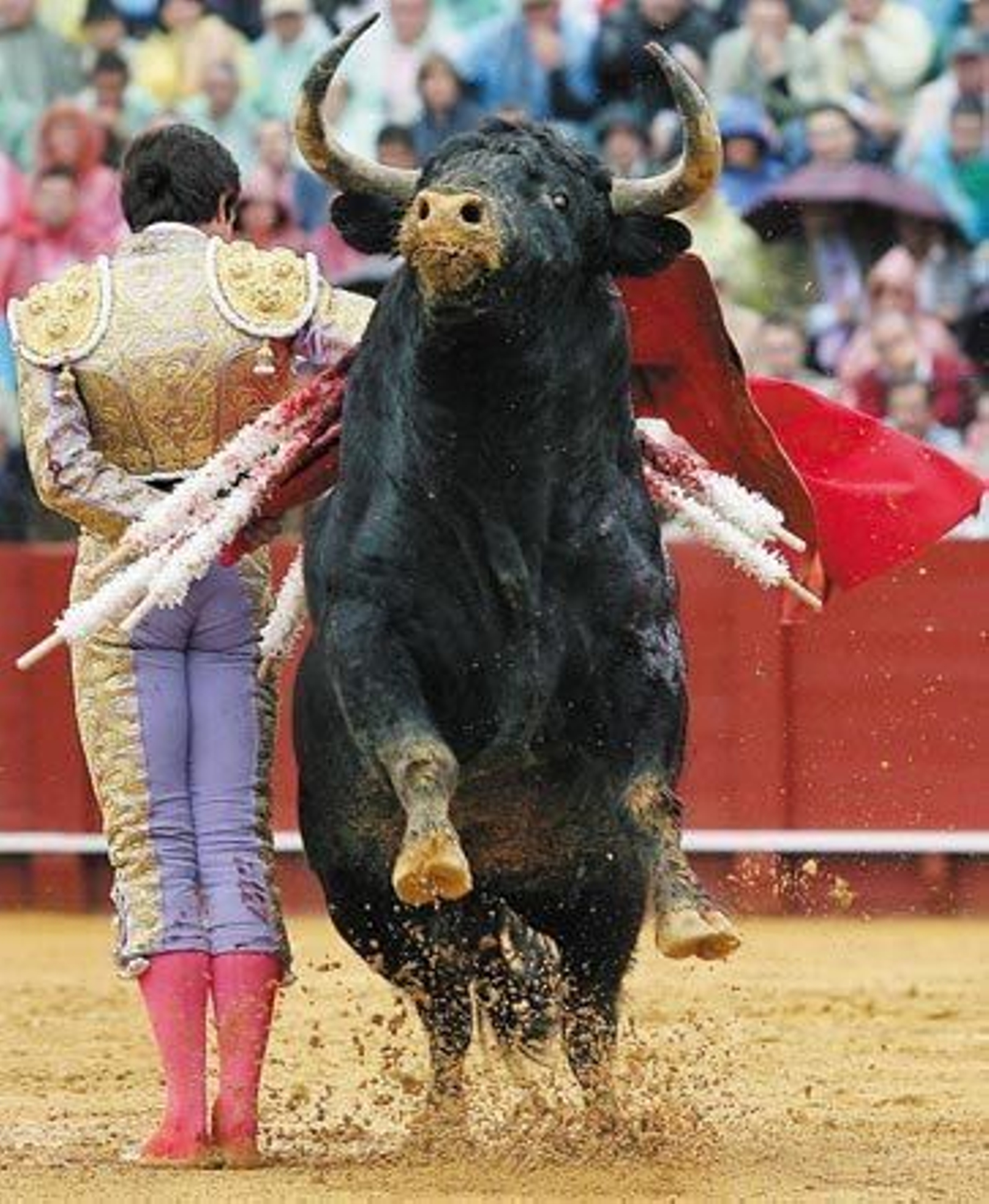 Sebastián Castella: Comienza una nueva etapa