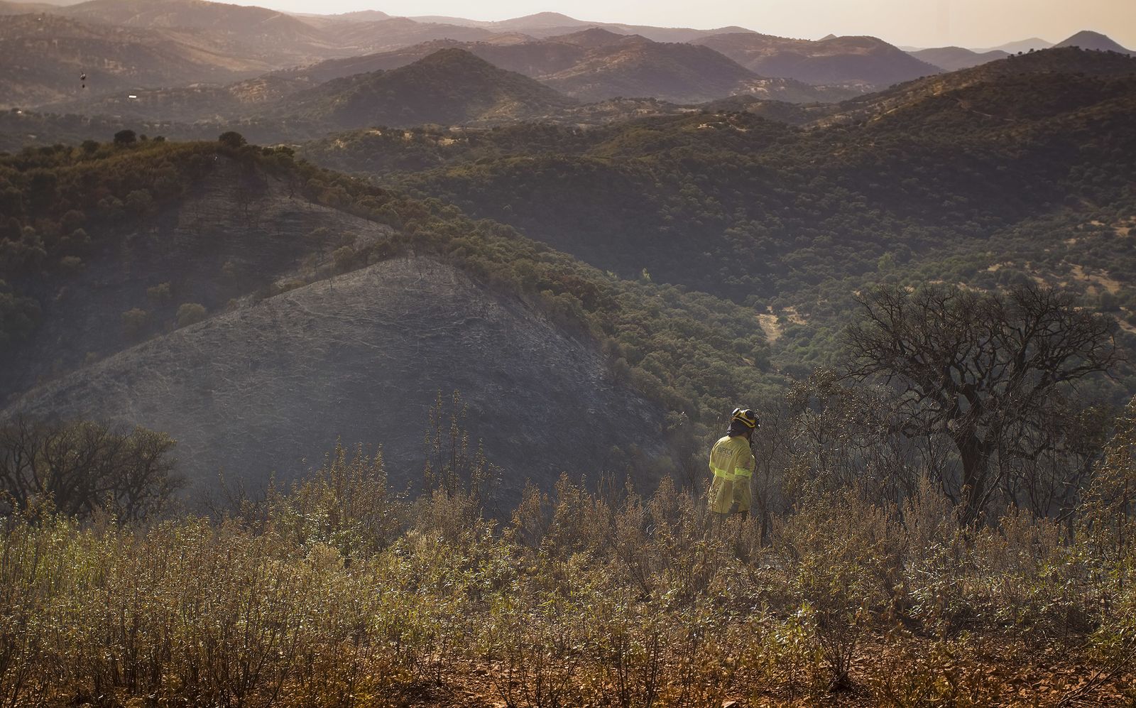 El incendio forestal de El Ronquillo, en imágenes
