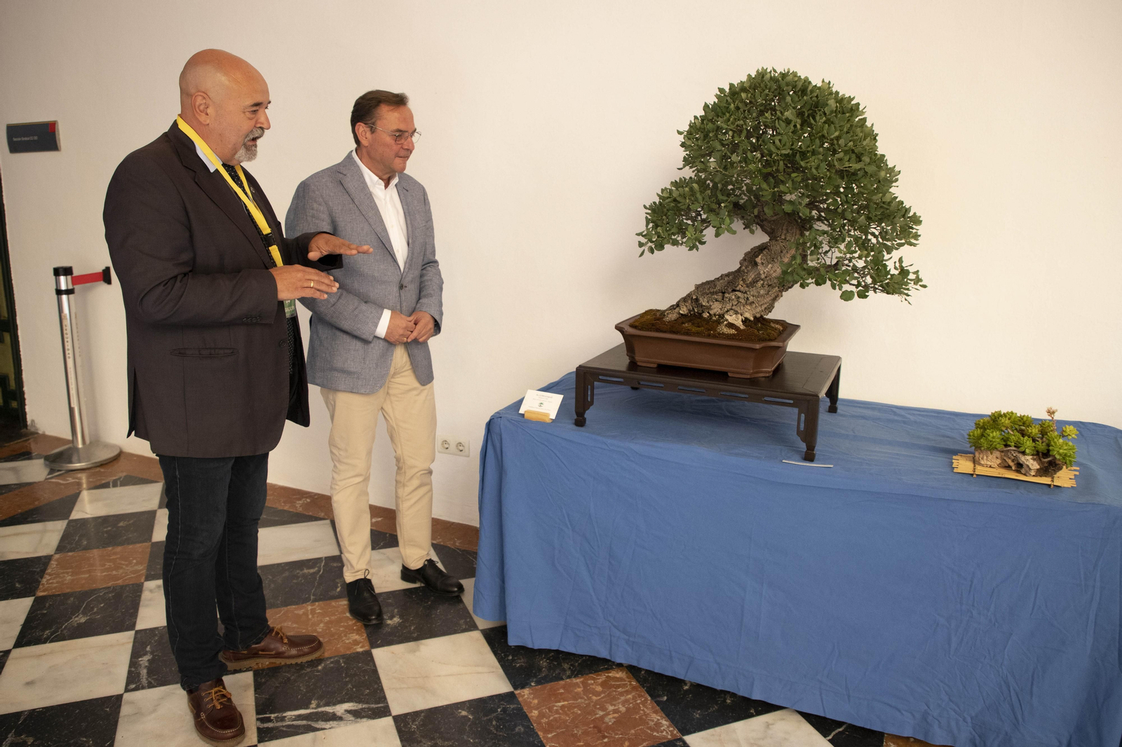 La exposición de Primavera de Bonsái de Córdoba, en imágenes