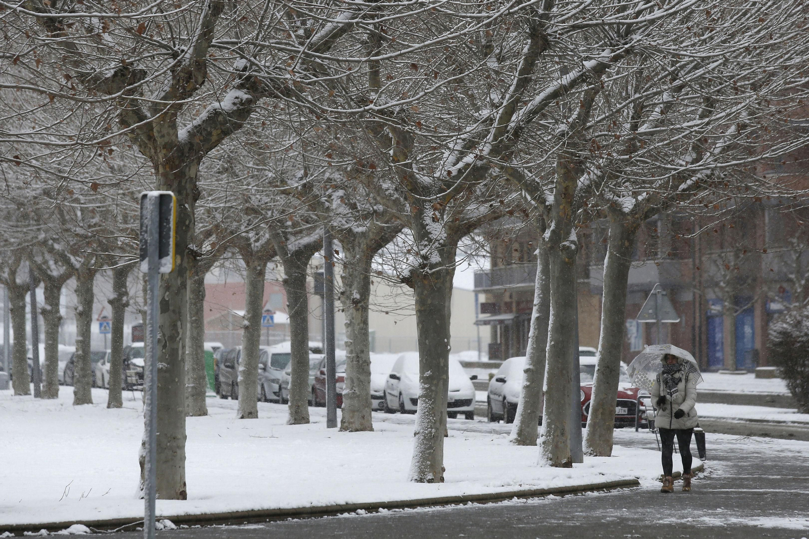 León capital bajo el manto blanco.