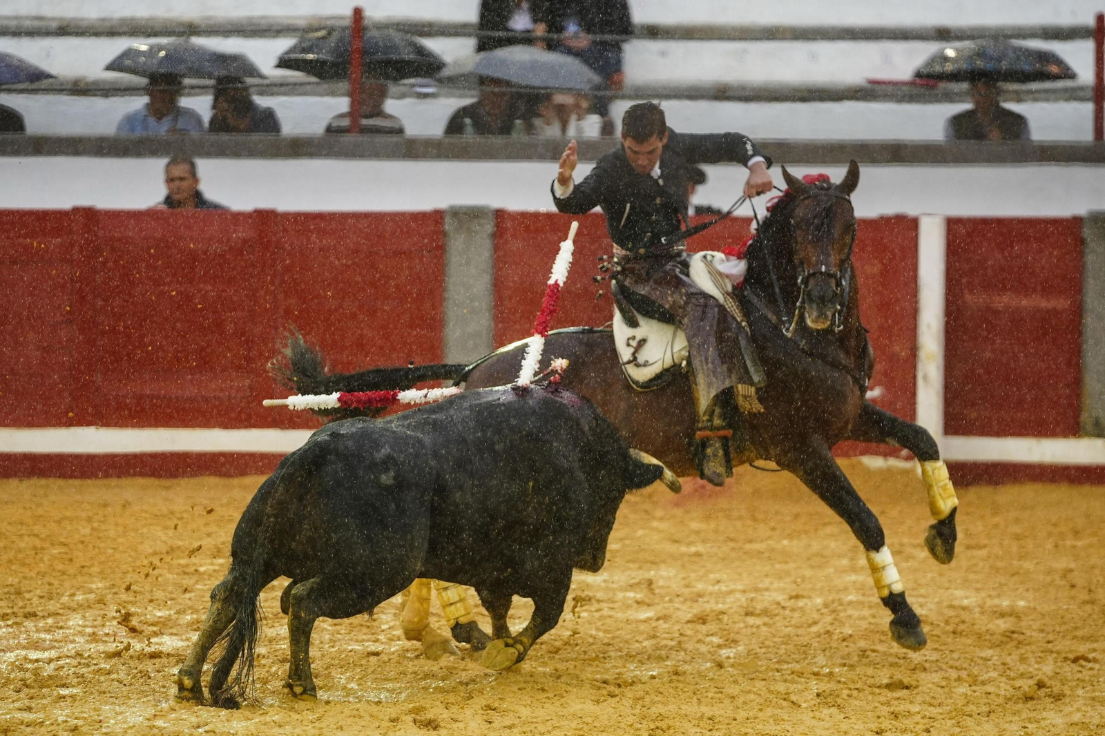 La corrida de rejones de la Feria de Pozoblanco, suspendida por la lluvia