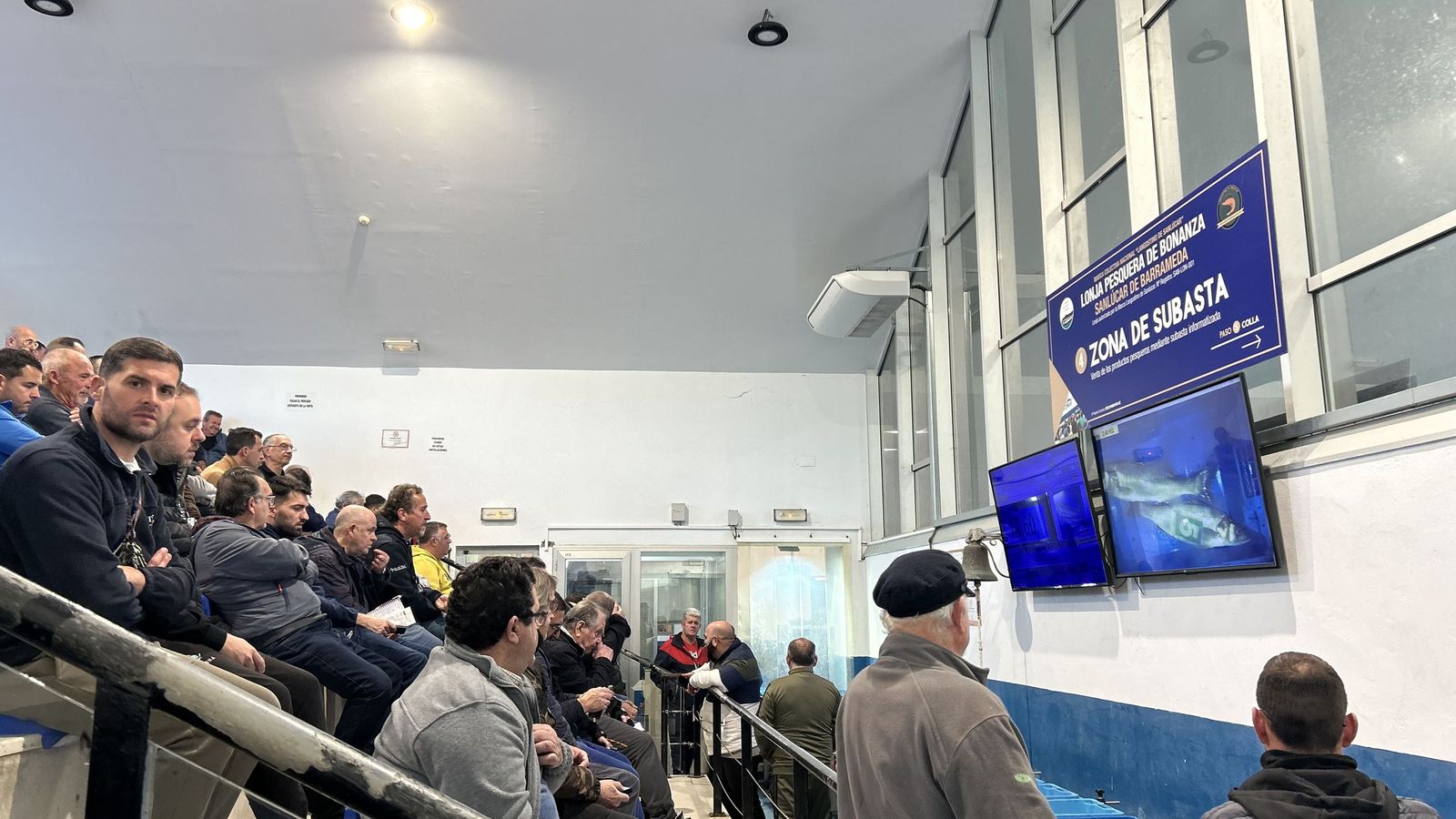 Zona de subasta de la lonja de Bonanza.