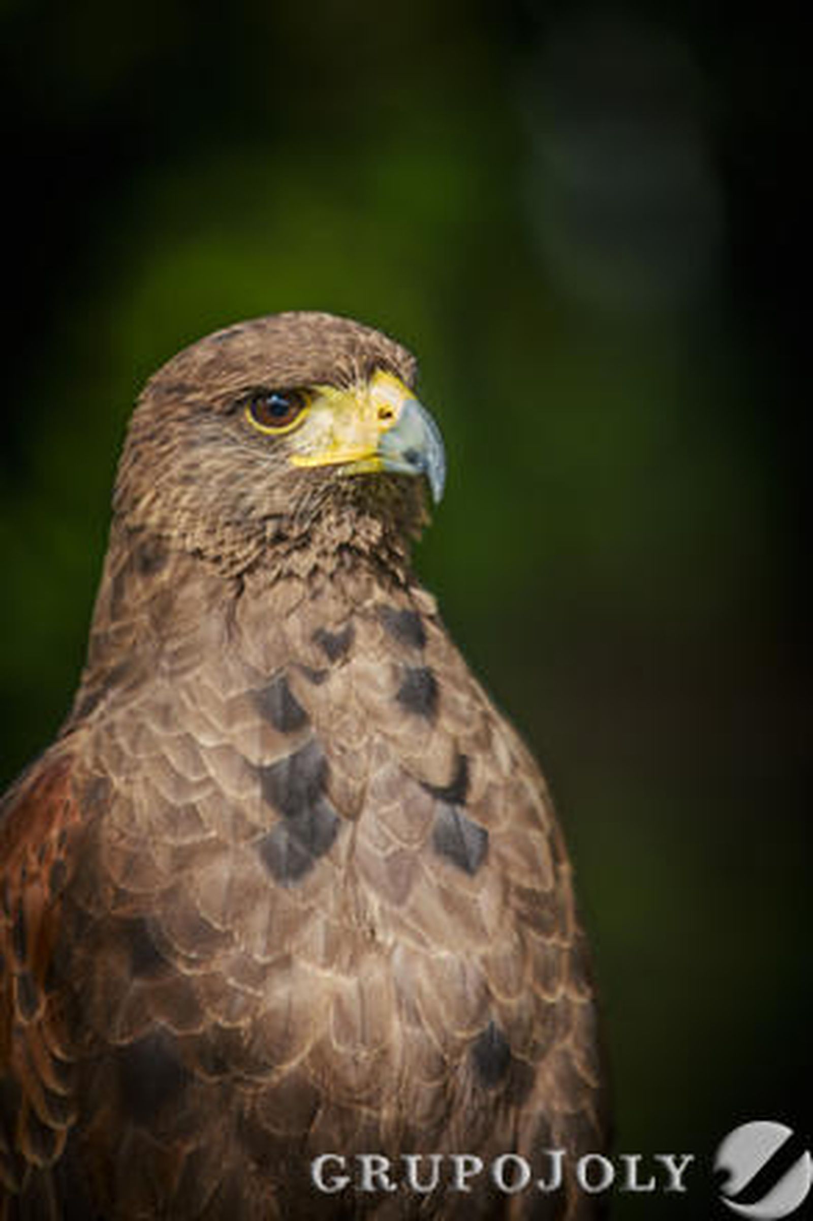 Foto: Julio Gonzalez