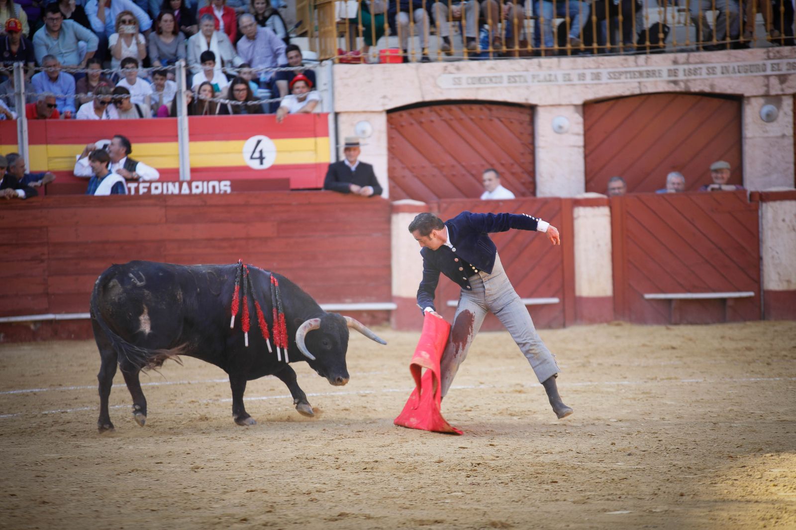 Imágenes del festival mixto lucha contra el cáncer
