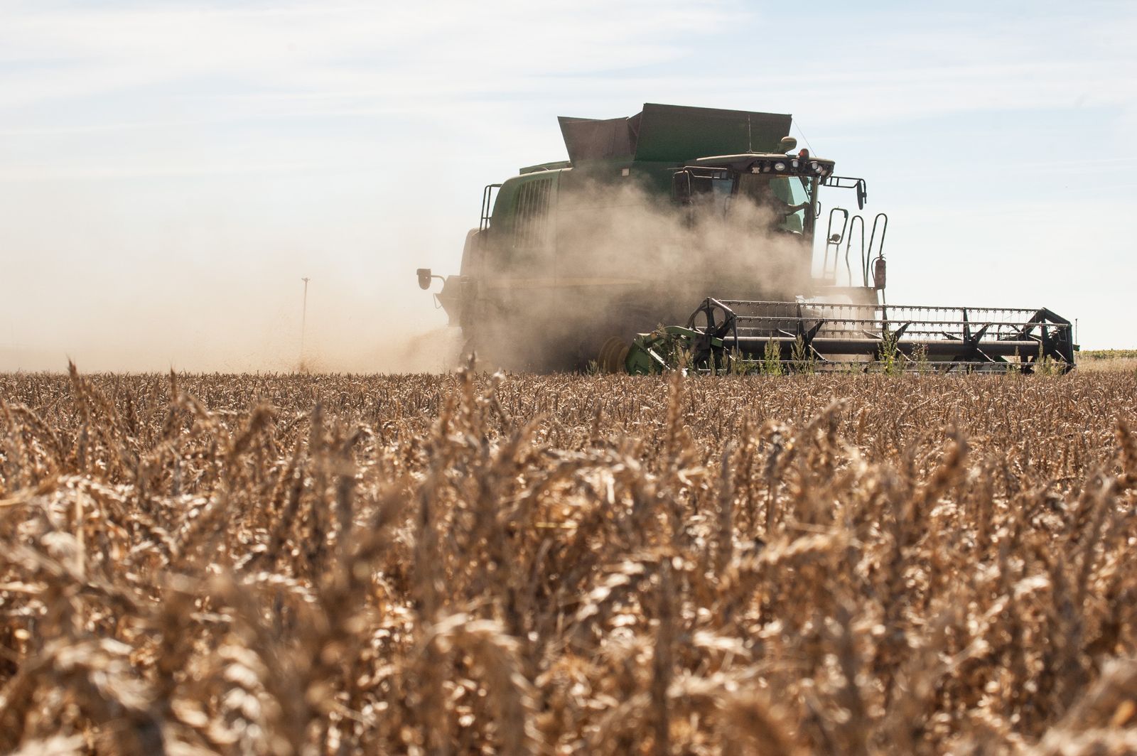 Una cosechadora en un campo de trigo.