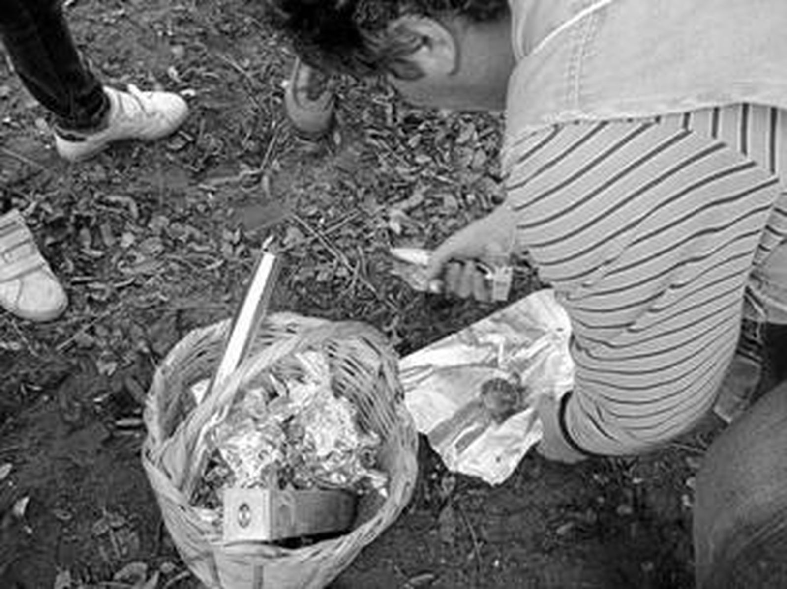 Un hombre recolecta setas durante las pasadas jornadas micológicas.