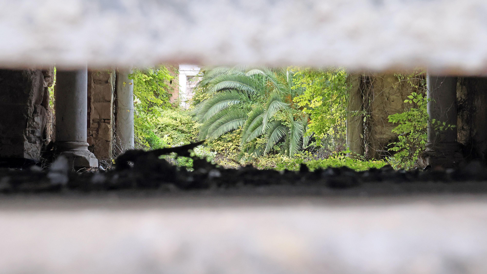 Se derrumba uno de los muros del interior del Palacio Riquelme en Jerez