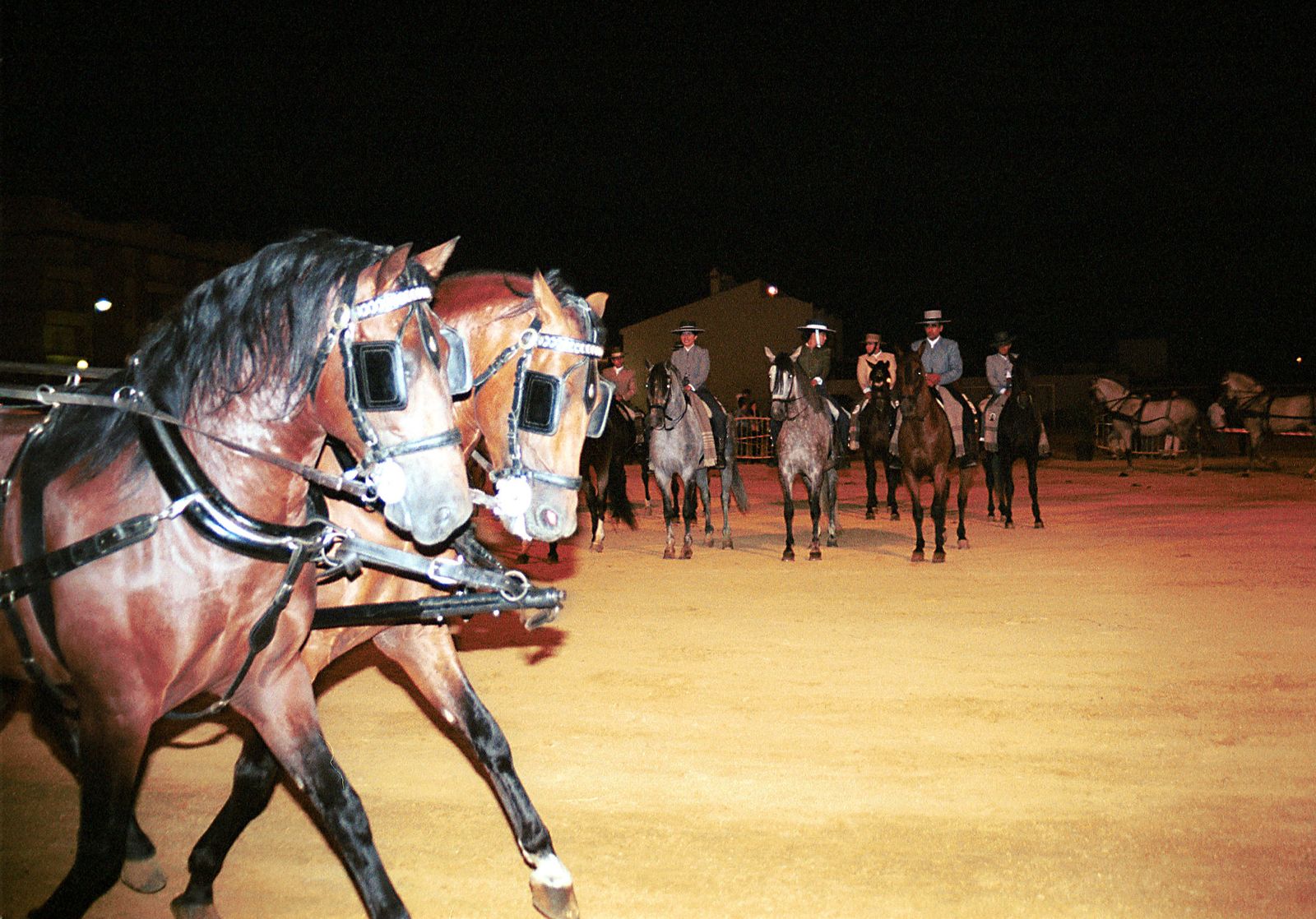 Doma vaquera en la feria de El Higuerón.