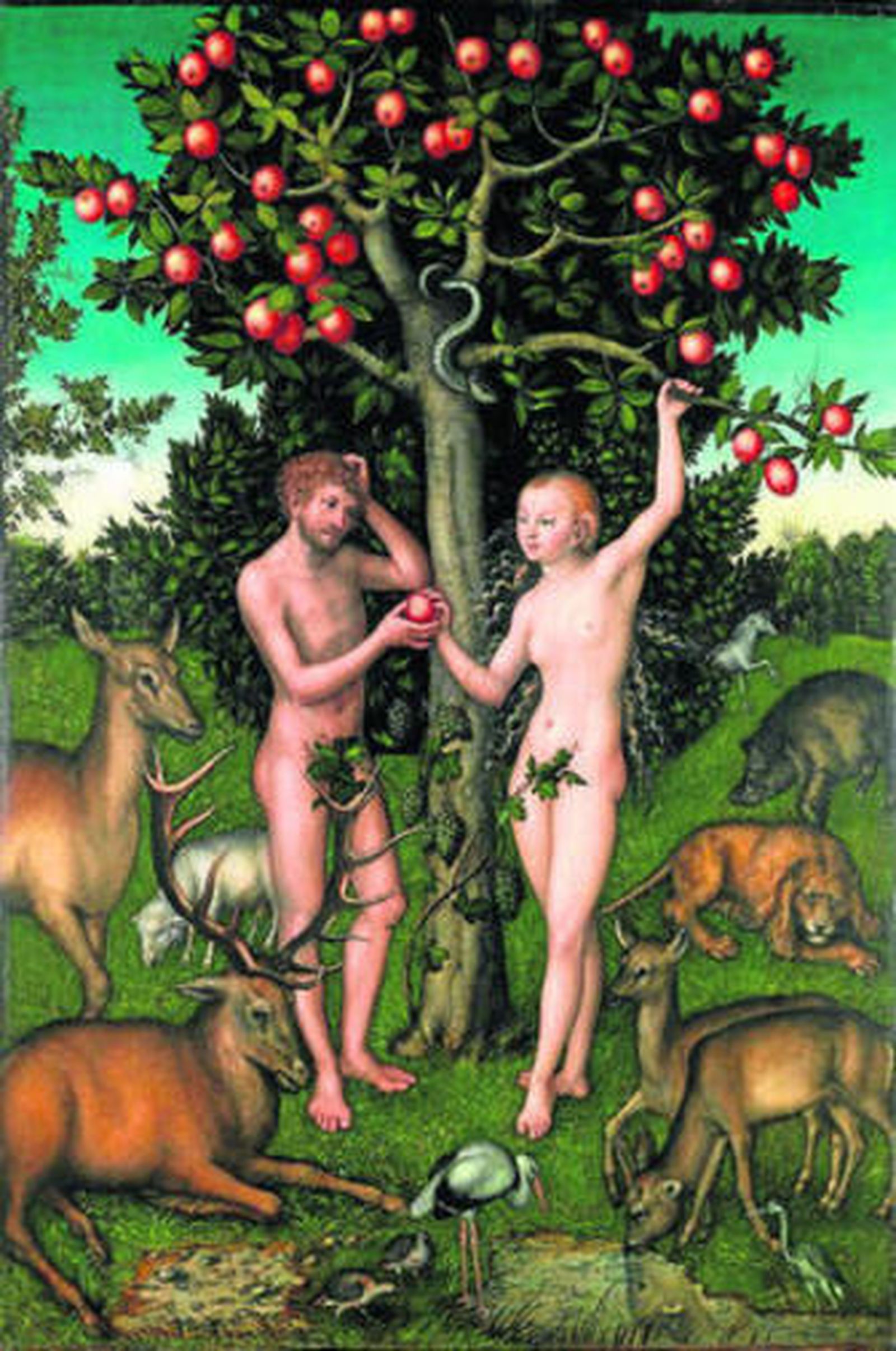 El aliado de la sombra