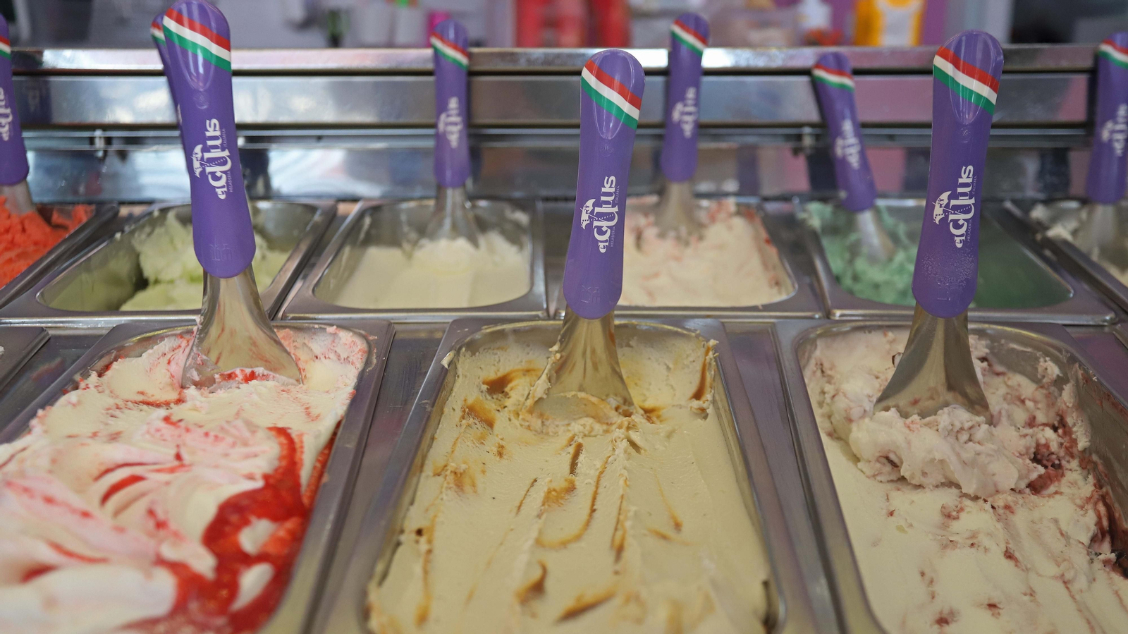 ElGulus ( La Línea de la Concepción)