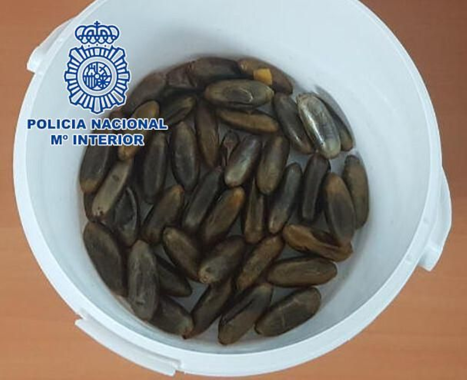 Bellotas de hachís similares a las que tenía el condenado en su cuerpo.