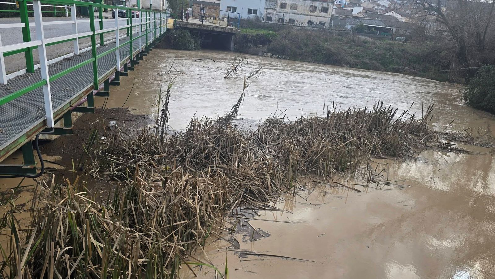 Viento, agua y destrozos: las imágenes de los efectos de la borrasca en la provincia de Granada