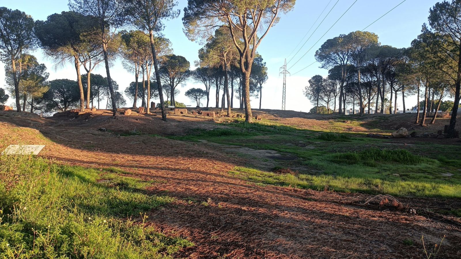 Necrópolis romana junto a La Dehesa