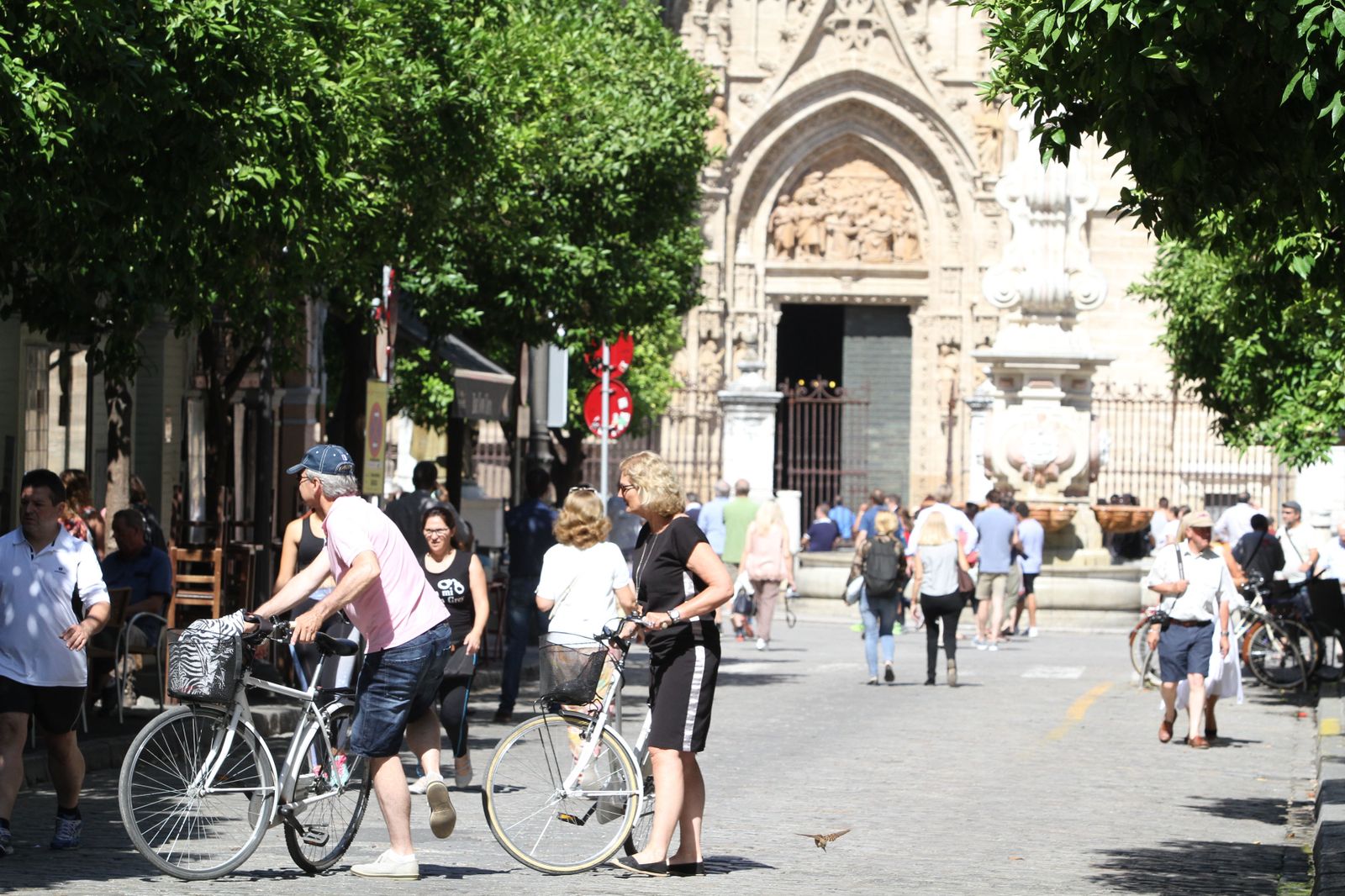 La prueba peatonal de Mateos Gago, en imágenes