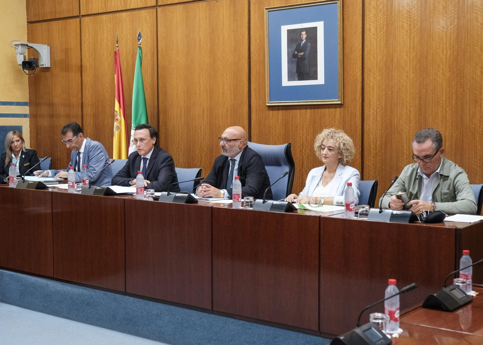 Gómez Villamandos interviene en la comisión del Parlamento.