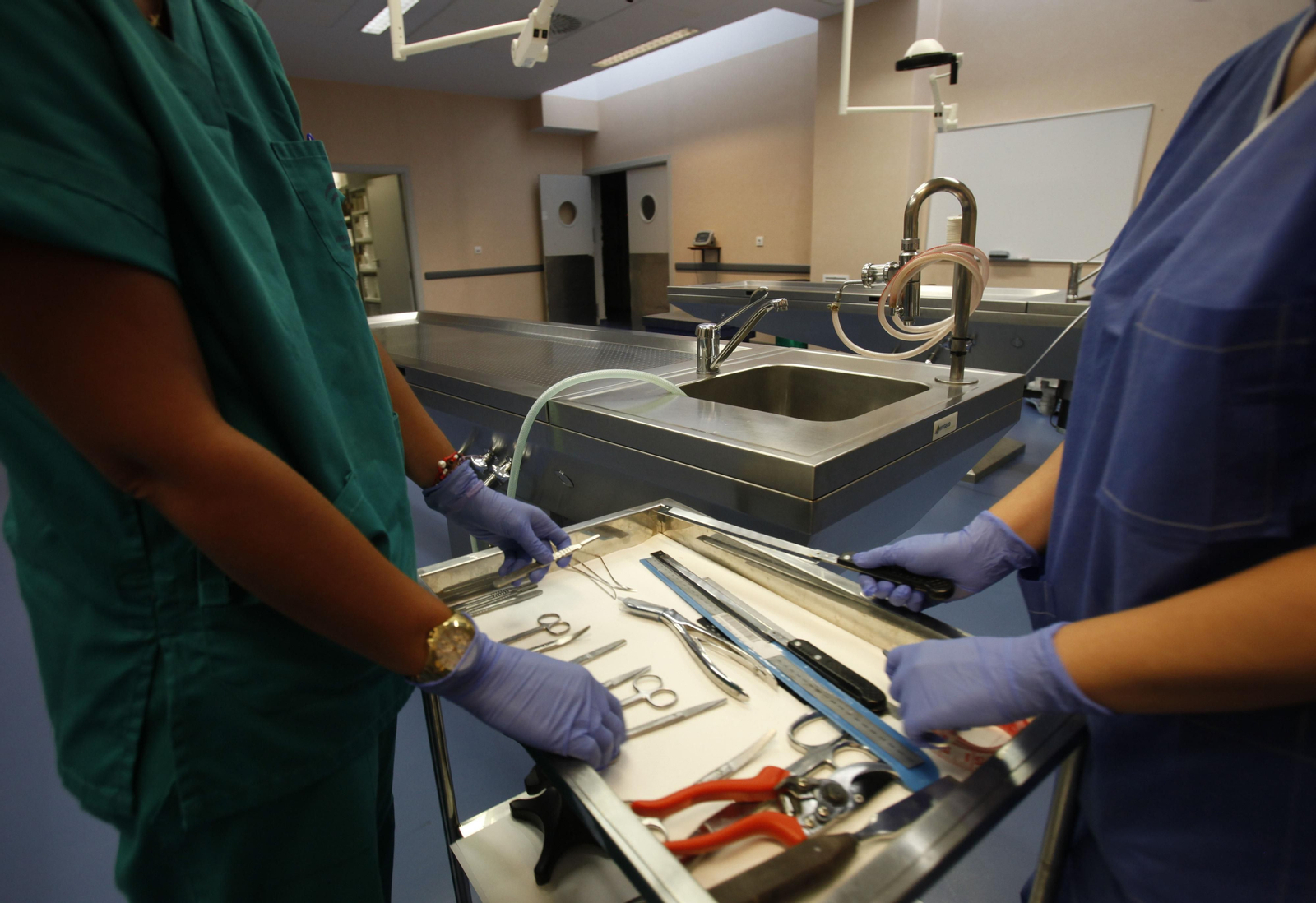 El Instituto de Medicina Legal de Granada realizó 8.400 actuaciones en 2020