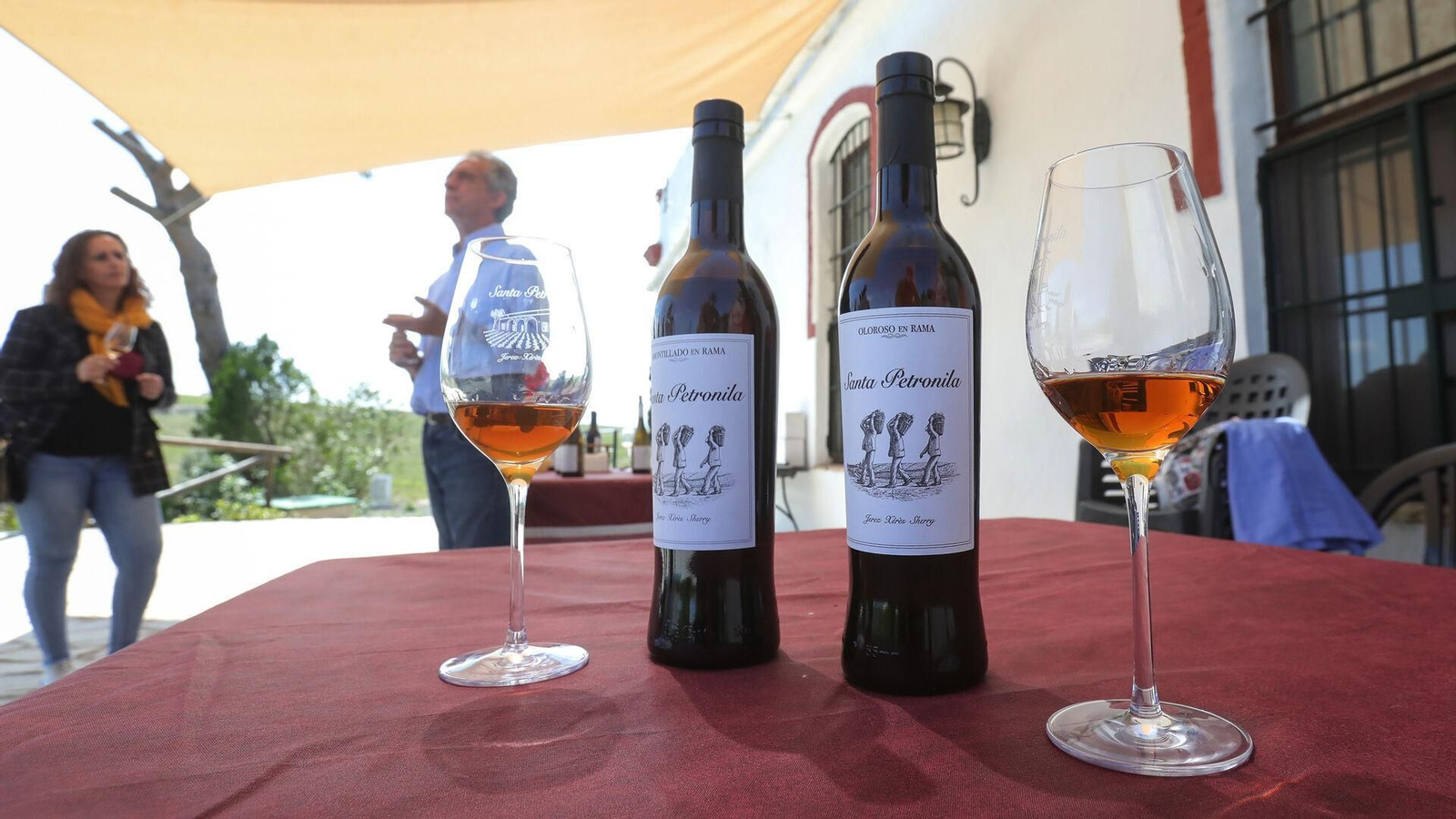 Botellas de Amontillado en Rama y Oloroso en Rama Santa Petronila, en una cata en la viña-bodega del mismo nombre.