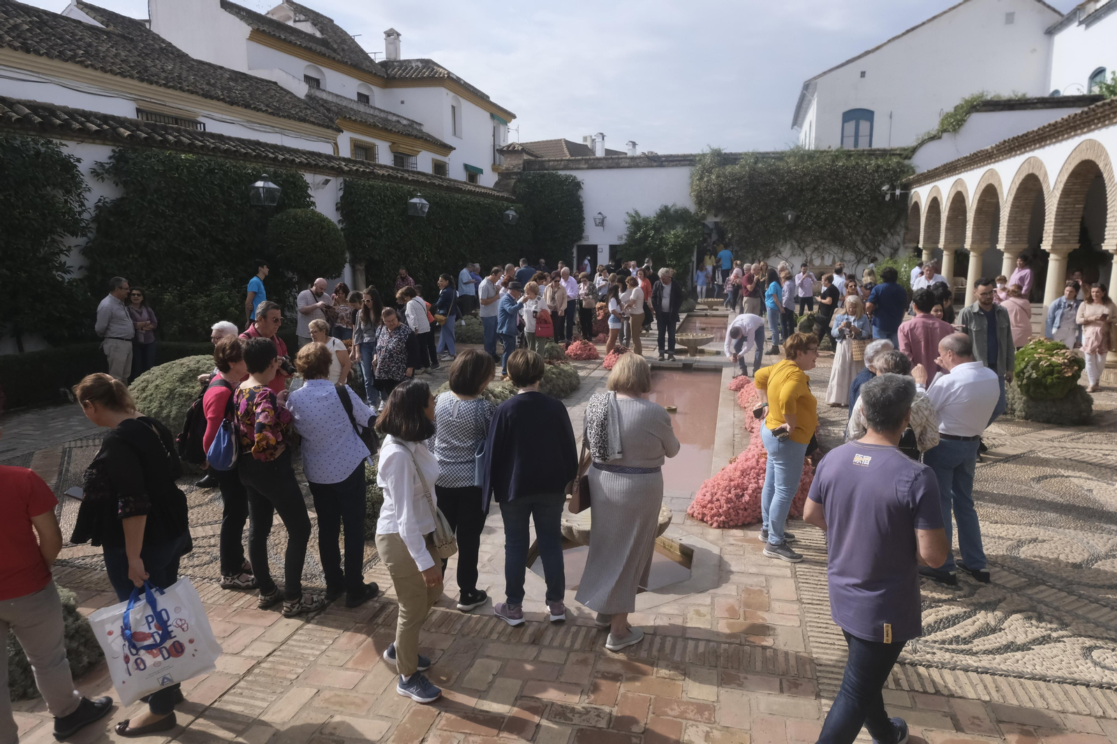 Un recorrido por los patios del Festival Flora 2022 de Córdoba, en imágenes