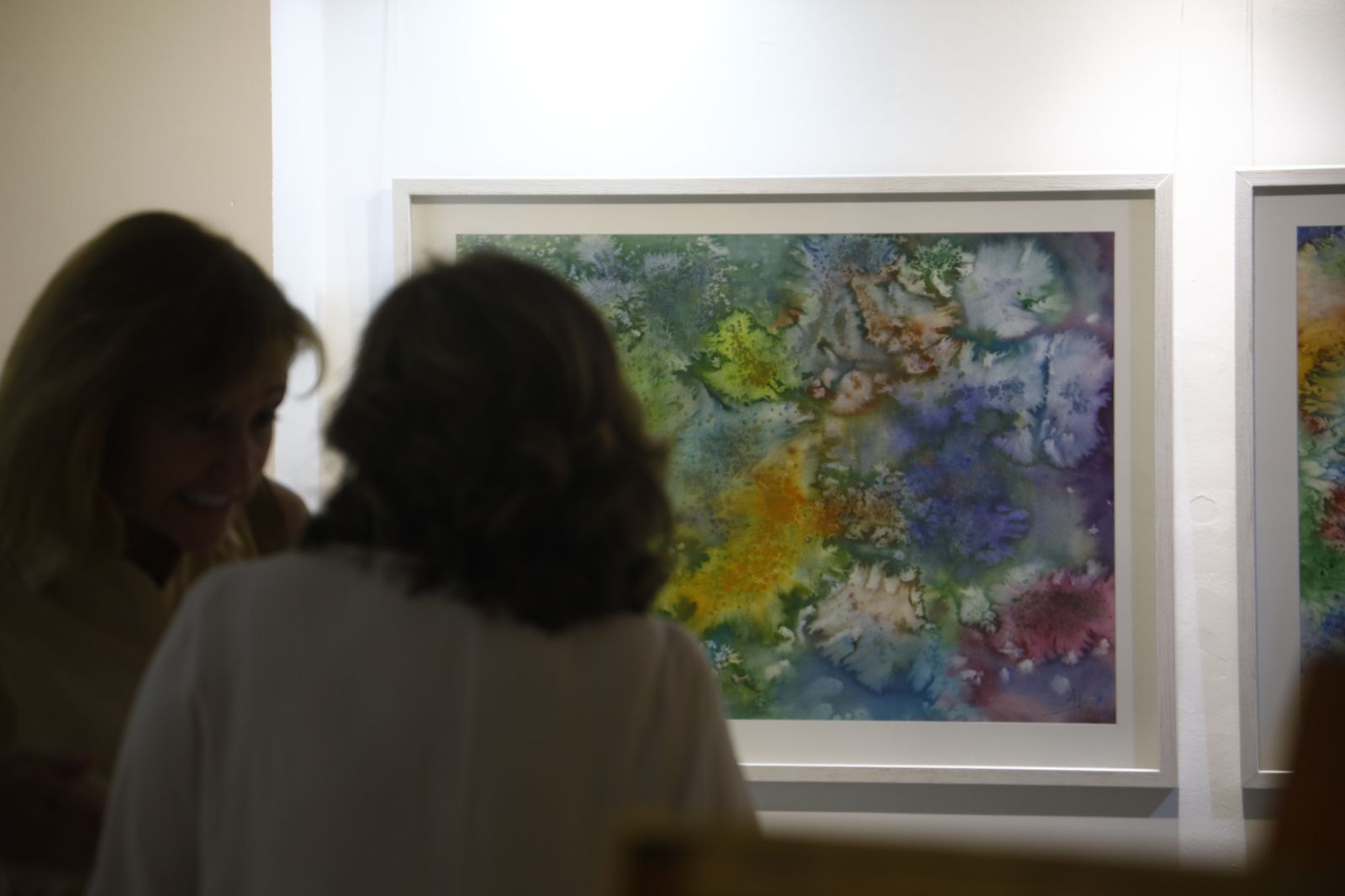 Un paseo fotográfico por la exposición 'Dos en una' del Colegio de Abogados de Córdoba