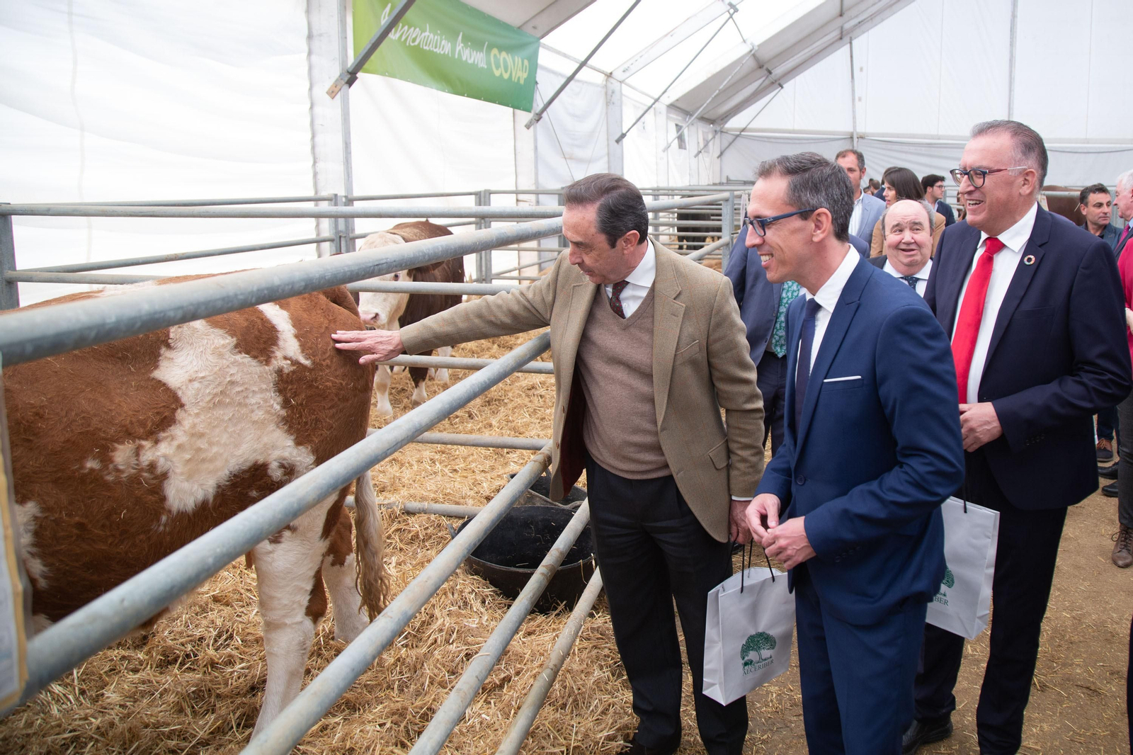 Un recorrido en fotografías por la Feria Agroganadera de Los Pedroches