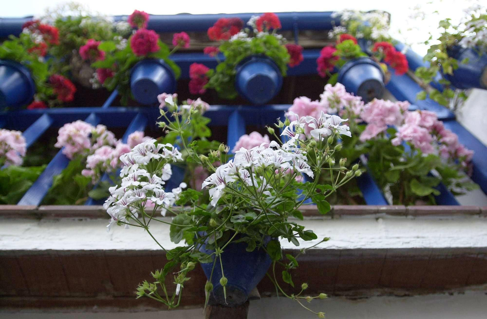 Patio de San Juan de Palomares, 11.