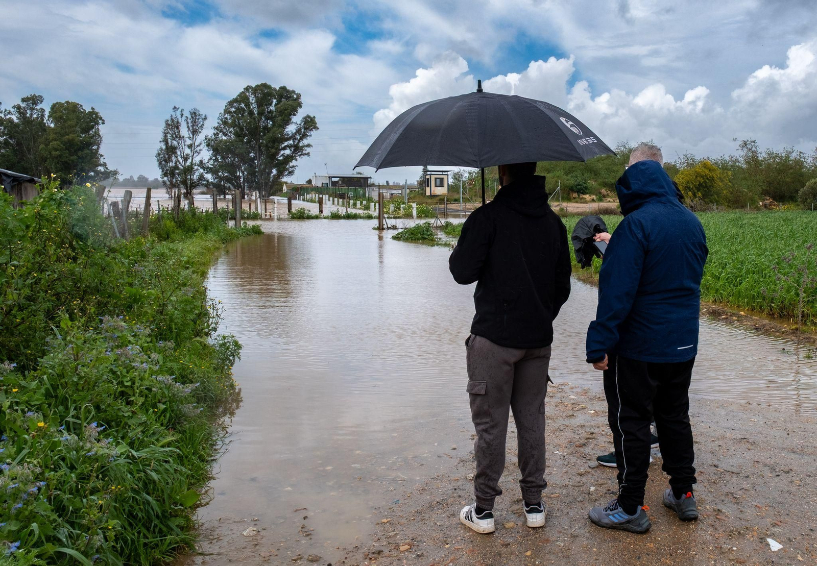 Imágenes de las inundaciones en Gibraleón por la borrasca Laurence este lunes