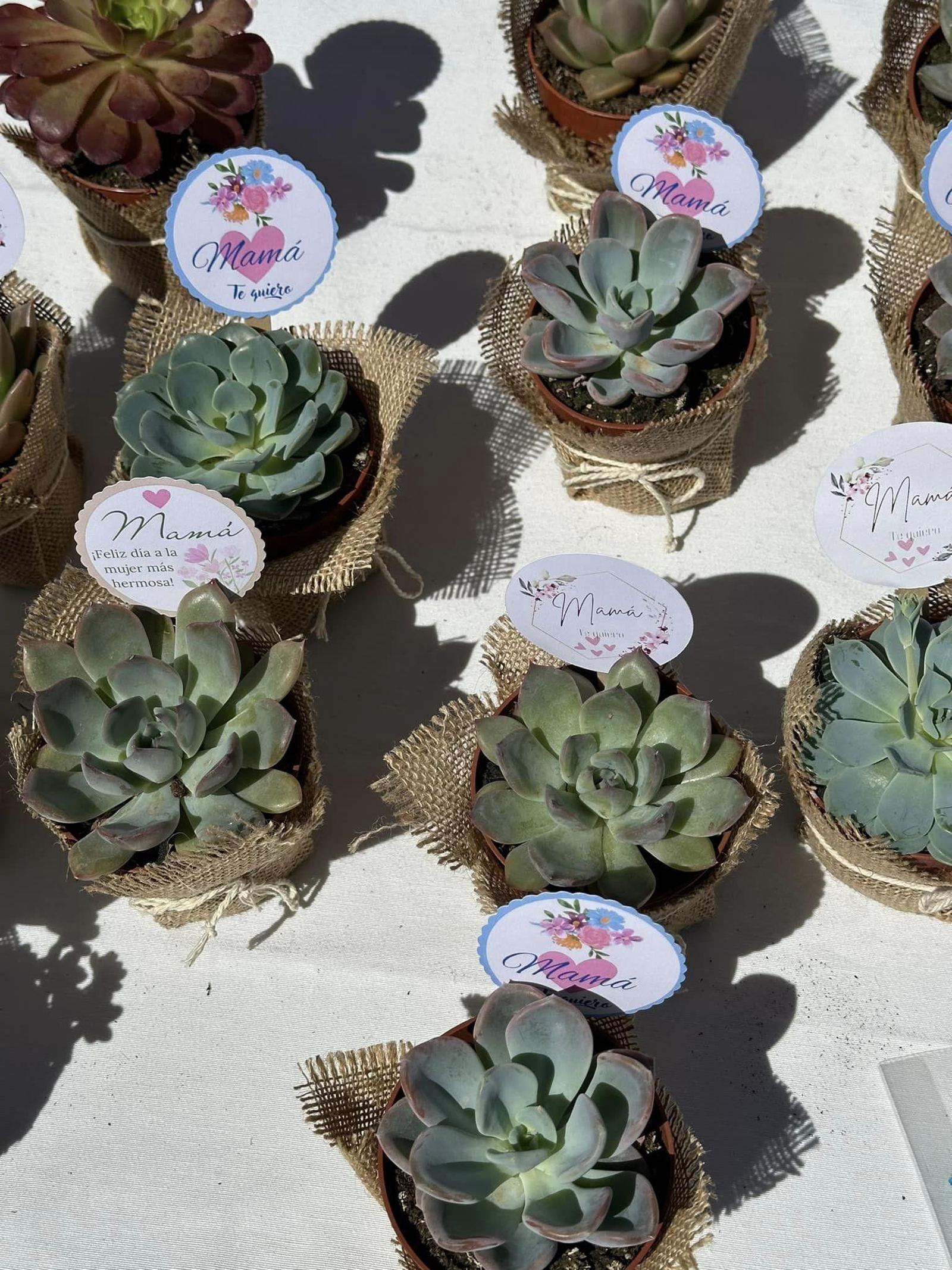 Prepararon detalles únicos para regalar en el Día de la Madre.