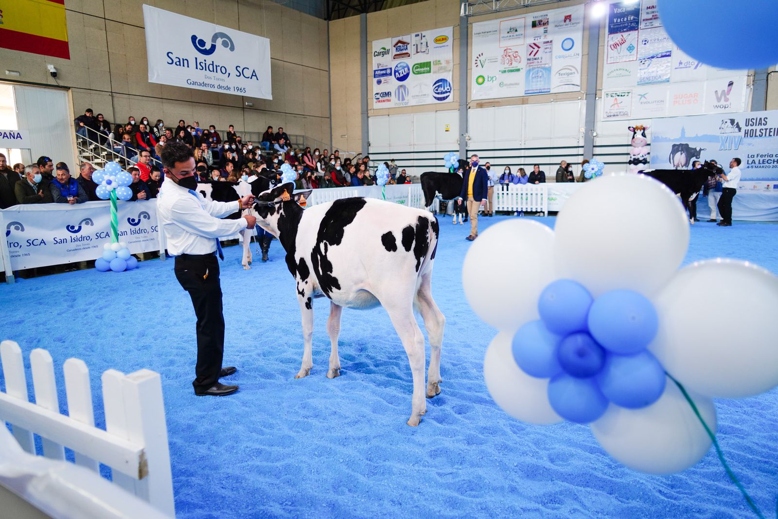 La Feria de Ganado Frisón Usías Holsteins de Dos Torres, en fotografías