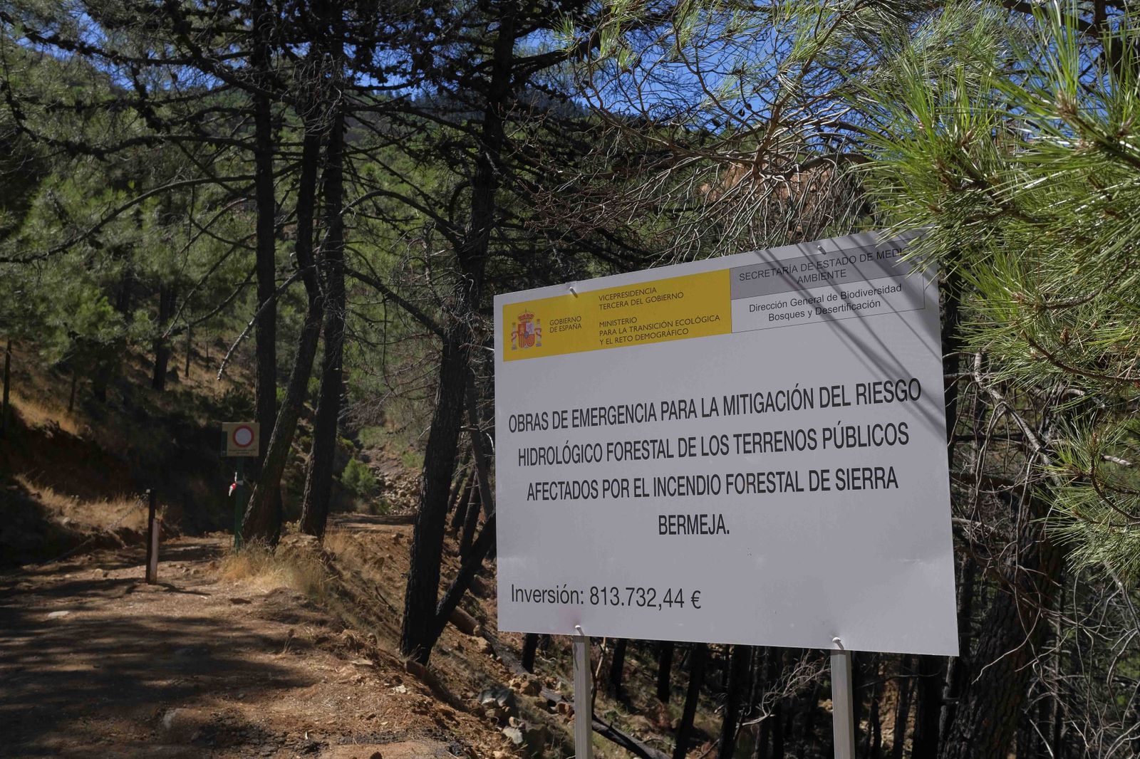 Un año del gran incendio de Sierra Bermeja, en fotos.