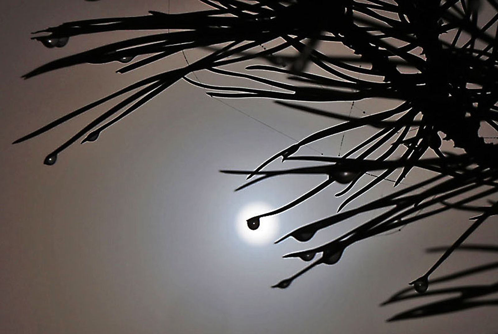 Imágenes de la espesa niebla durante la mañana en Huelva