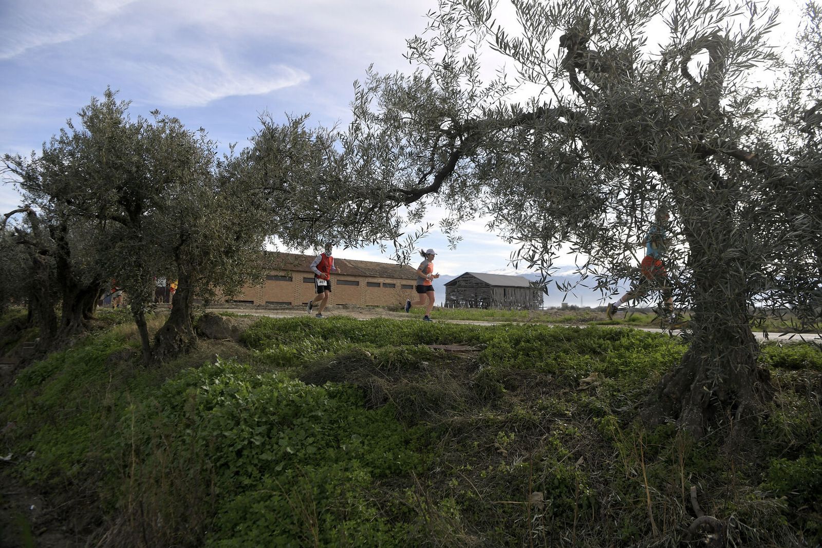 Las imágenes de la Carrera de la Ruta del Secadero de Cúllar Vega