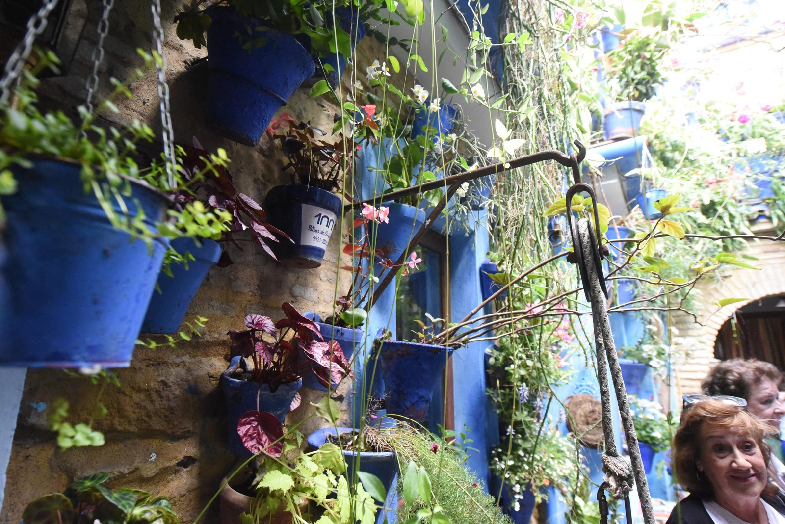Los Patios de la ruta de San Lorenzo, en imágenes