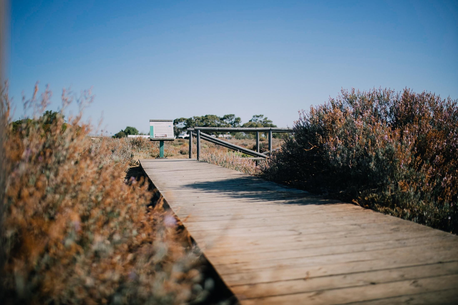 Un recorrido fotográfico por el Paraje Natural Marismas del Odiel