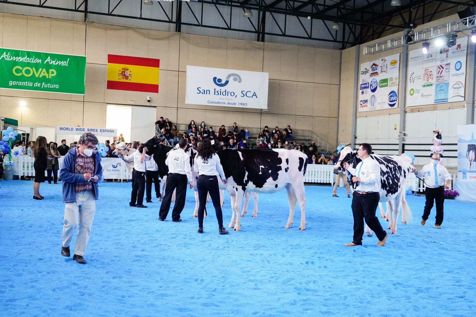 La Feria de Ganado Frisón Usías Holsteins de Dos Torres, en fotografías