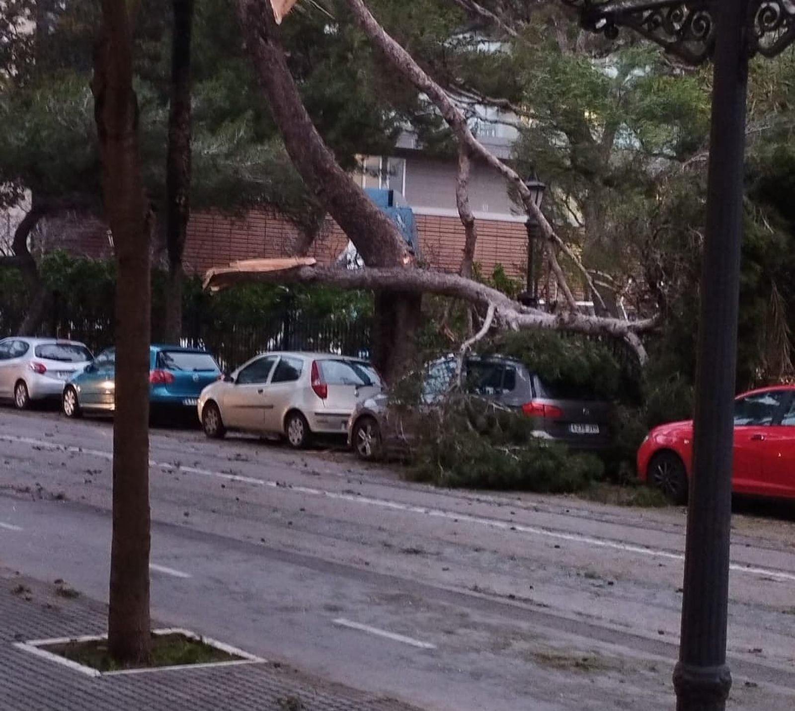 Los destrozos del temporal