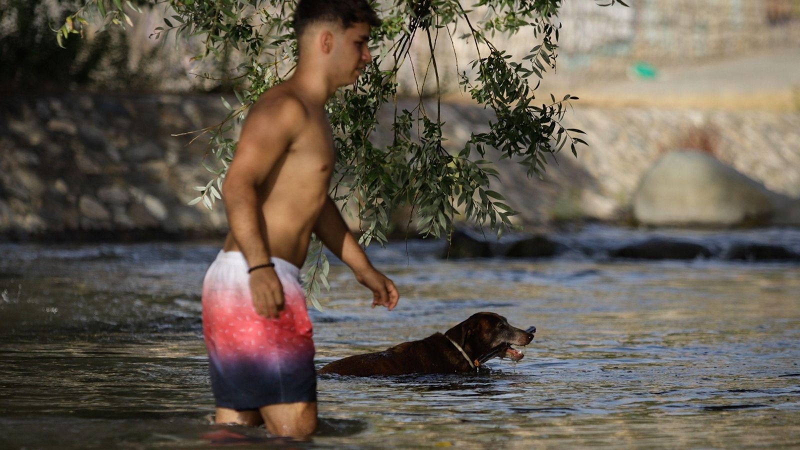 Un joven se baña junto a su perro en el río Genil