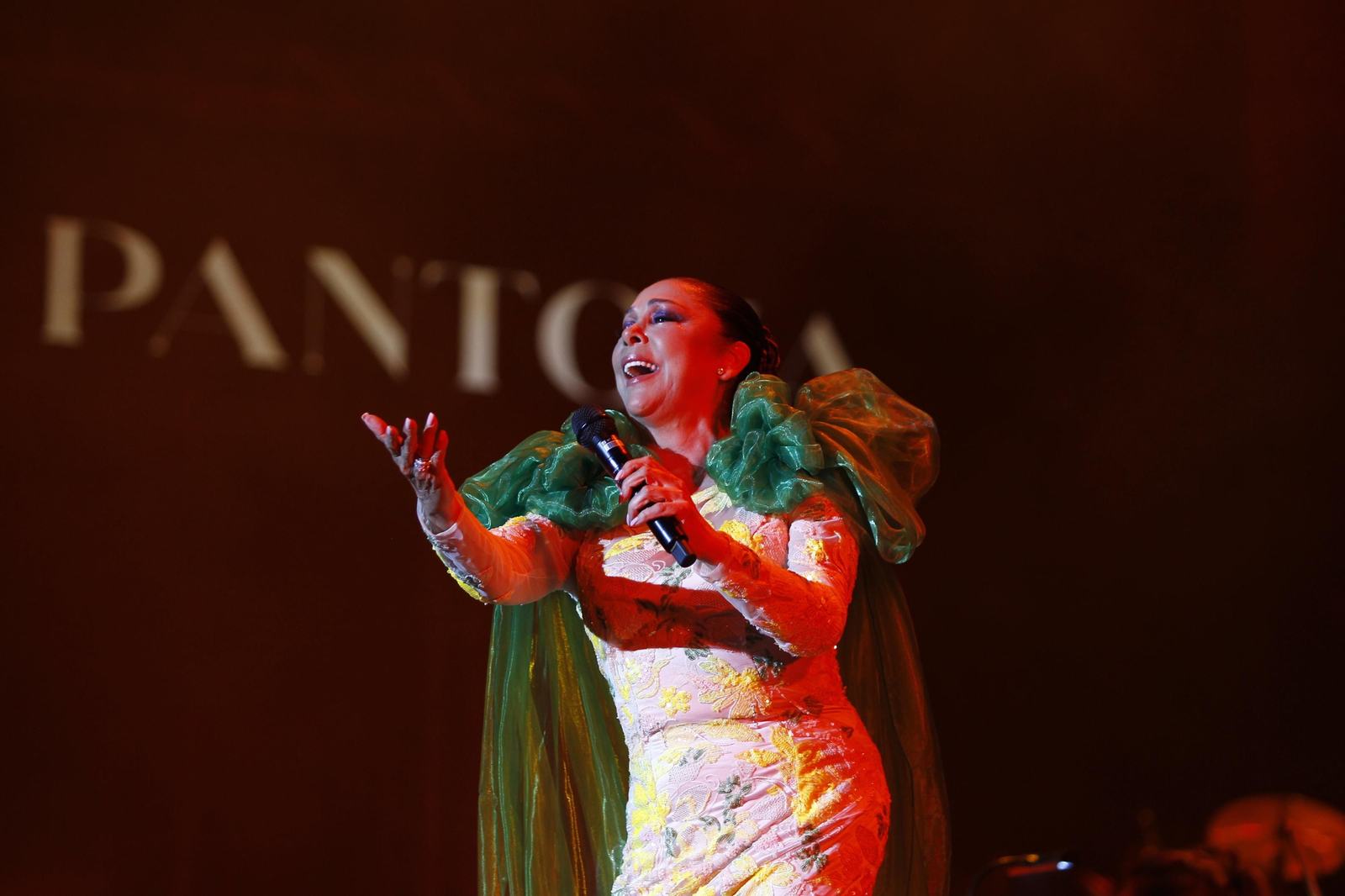 Isabel Pantoja cautiva al público de Almería en la plaza de toros