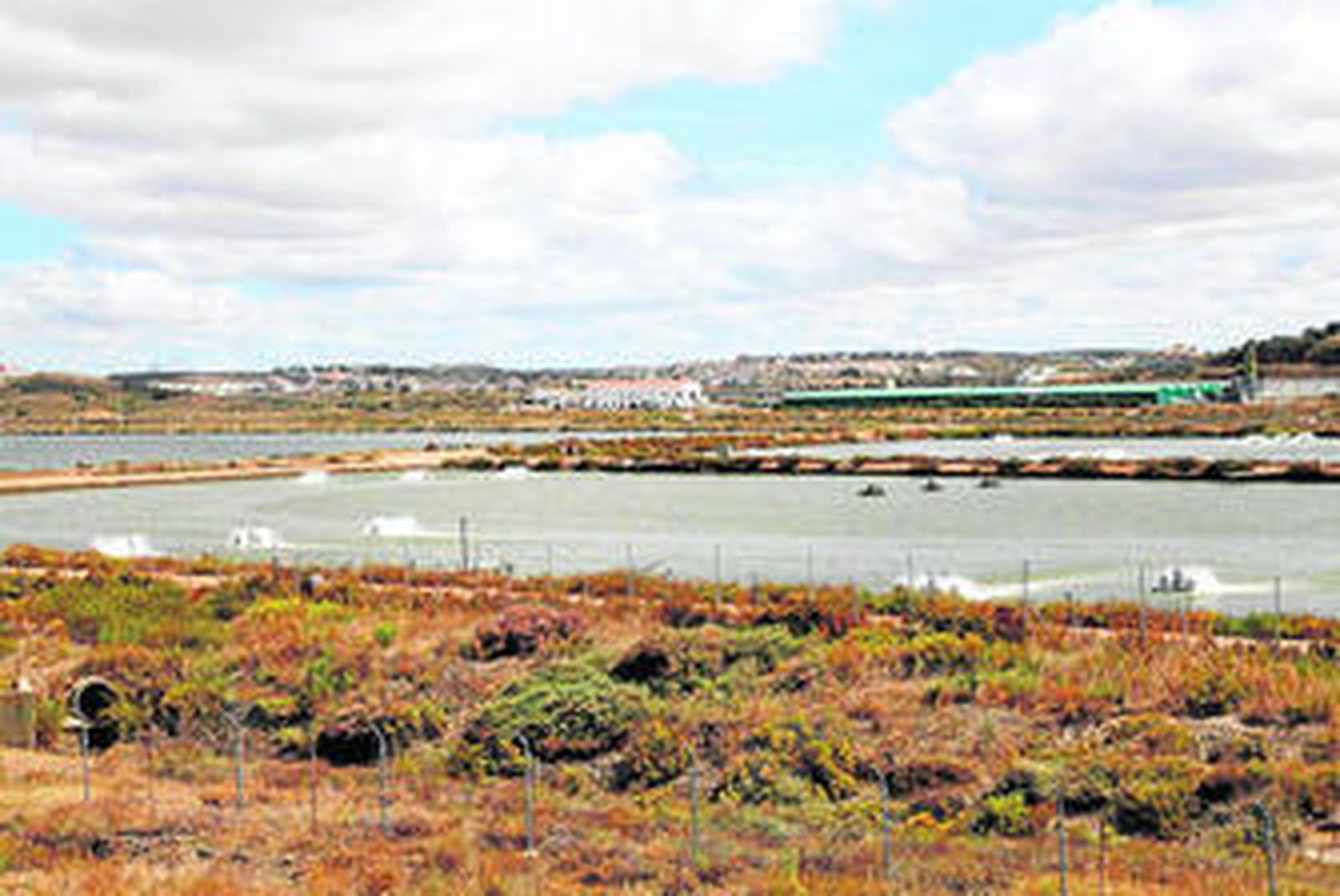 Piscifactorías que quedarán inutilizadas si sigue adelante el proyecto turístico-náutico .
