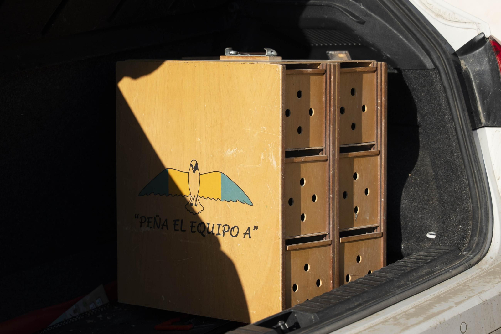 Las mejores imágenes de la suelta de palomos en la Feria de Albox