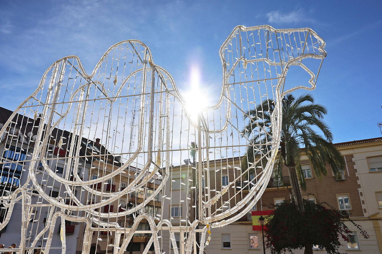 Así luce la Plaza de San Pedro tras el primer día de su reapertura